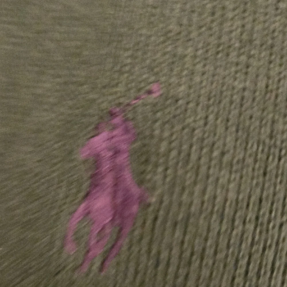 Polo Ralph Lauren stylish zip